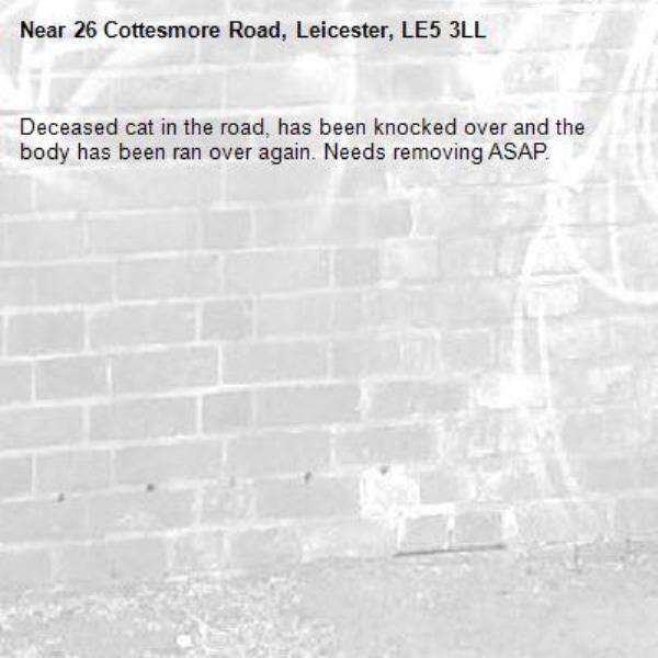 Deceased cat in the road, has been knocked over and the body has been ran over again. Needs removing ASAP.-26 Cottesmore Road, Leicester, LE5 3LL