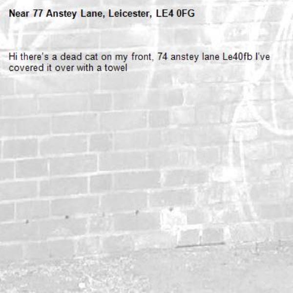 Hi there’s a dead cat on my front, 74 anstey lane Le40fb I’ve covered it over with a towel -77 Anstey Lane, Leicester, LE4 0FG