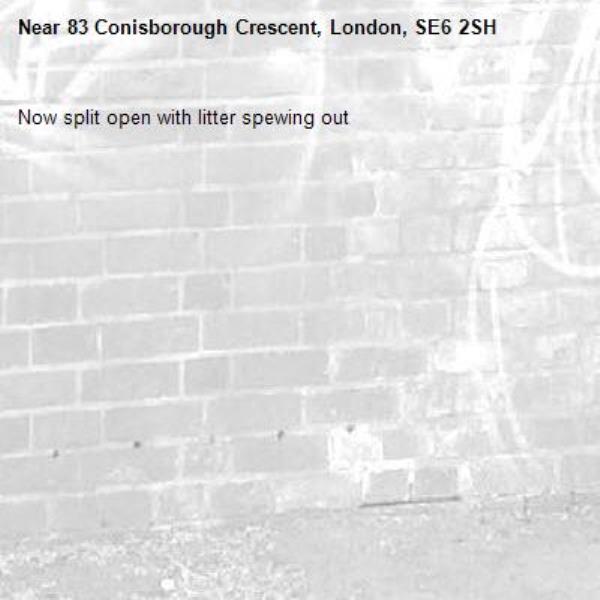 Now split open with litter spewing out-83 Conisborough Crescent, London, SE6 2SH