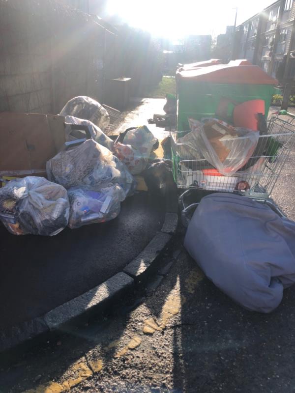 Disgusting bags of food waste and dumped, broken furniture. Rats seen! Overflowing bins. -1 Globe Road, Stratford, London, E15 1RF
