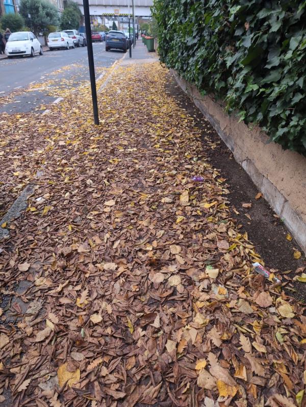This pavement is incredibly slippery when the leaves end up wet-52 Avenue Road, Forest Gate, London, E7 0LD