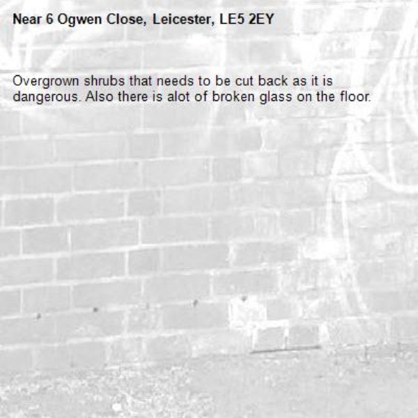 Overgrown shrubs that needs to be cut back as it is dangerous. Also there is alot of broken glass on the floor.-6 Ogwen Close, Leicester, LE5 2EY