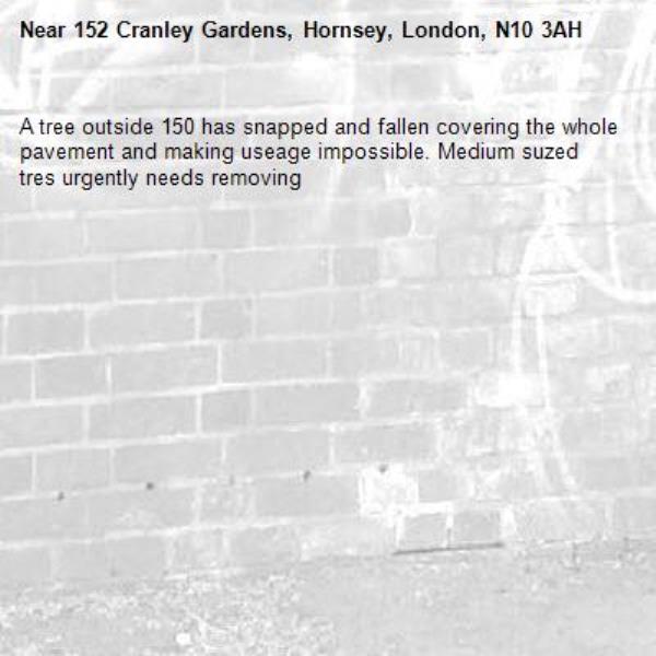 A tree outside 150 has snapped and fallen covering the whole pavement and making useage impossible. Medium suzed tres urgently needs removing-152 Cranley Gardens, Hornsey, London, N10 3AH