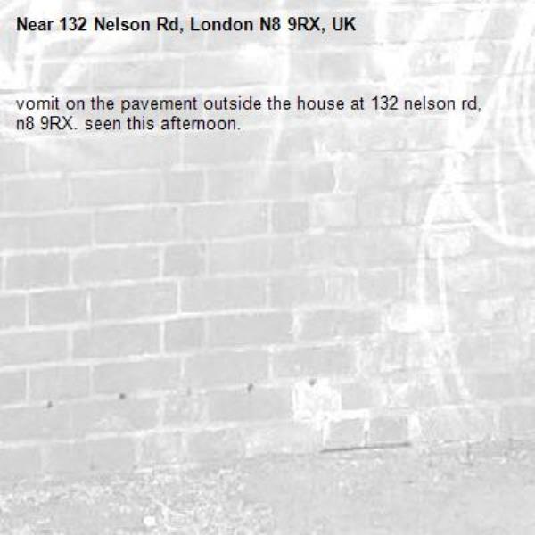 vomit on the pavement outside the house at 132 nelson rd, n8 9RX. seen this afternoon.-132 Nelson Rd, London N8 9RX, UK
