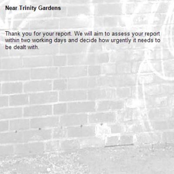 Thank you for your report. We will aim to assess your report within two working days and decide how urgently it needs to be dealt with.-Trinity Gardens