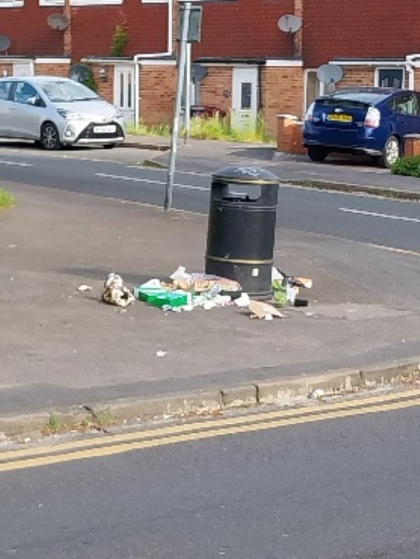 rubbish dumped by litter bin -65 Beresford Road, Reading, RG30 1BU