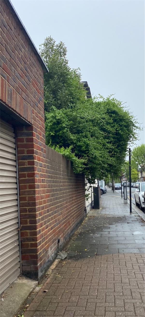 This is really overgrown and no one can walk past safely and it looks really bad . Owners are not cutting it and need to be warned to do so fast. A report previously sent and says 'problem solved' but not sure what that means. -95 South Esk Road, Forest Gate, London, E7 8EZ