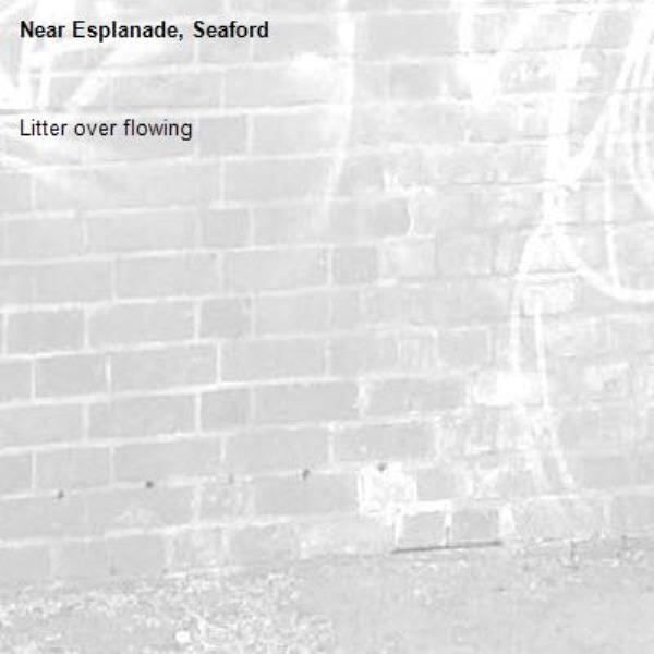 Litter over flowing-Esplanade, Seaford