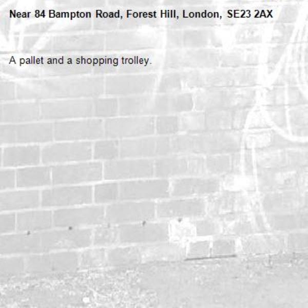A pallet and a shopping trolley.-84 Bampton Road, Forest Hill, London, SE23 2AX
