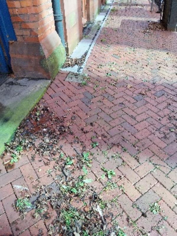 leaves, litter and weeds on Valpy Street pavement -Flat 1, 17-19 Valpy Street, Reading, RG1 1AR