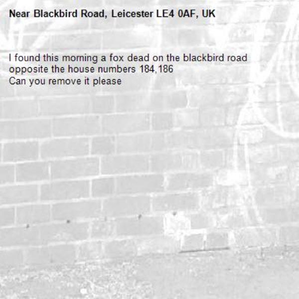 I found this morning a fox dead on the blackbird road opposite the house numbers 184,186
Can you remove it please -Blackbird Road, Leicester LE4 0AF, UK