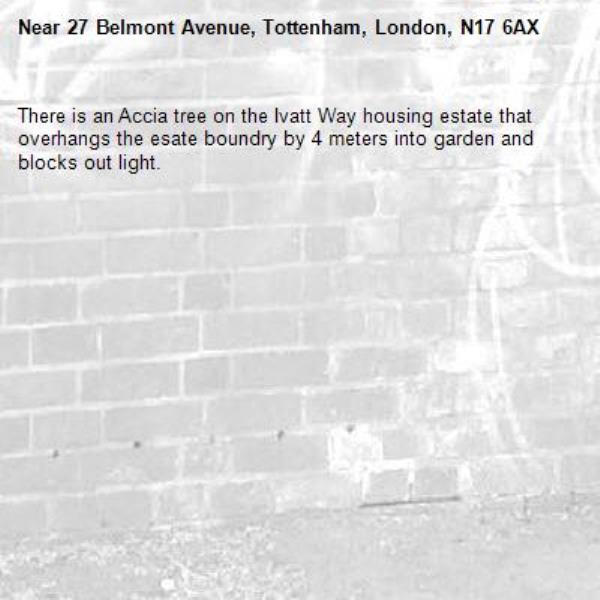 There is an Accia tree on the Ivatt Way housing estate that overhangs the esate boundry by 4 meters into garden and blocks out light.-27 Belmont Avenue, Tottenham, London, N17 6AX