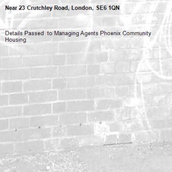 Details Passed  to Managing Agents Phoenix Community Housing-23 Crutchley Road, London, SE6 1QN