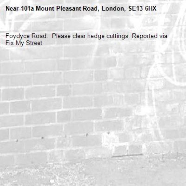 Foydyce Road.  Please clear hedge cuttings. Reported via Fix My Street-101a Mount Pleasant Road, London, SE13 6HX
