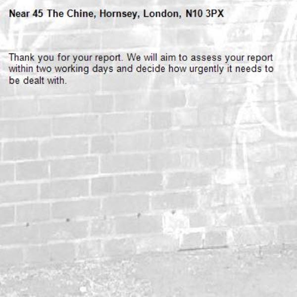 Thank you for your report. We will aim to assess your report within two working days and decide how urgently it needs to be dealt with.-45 The Chine, Hornsey, London, N10 3PX