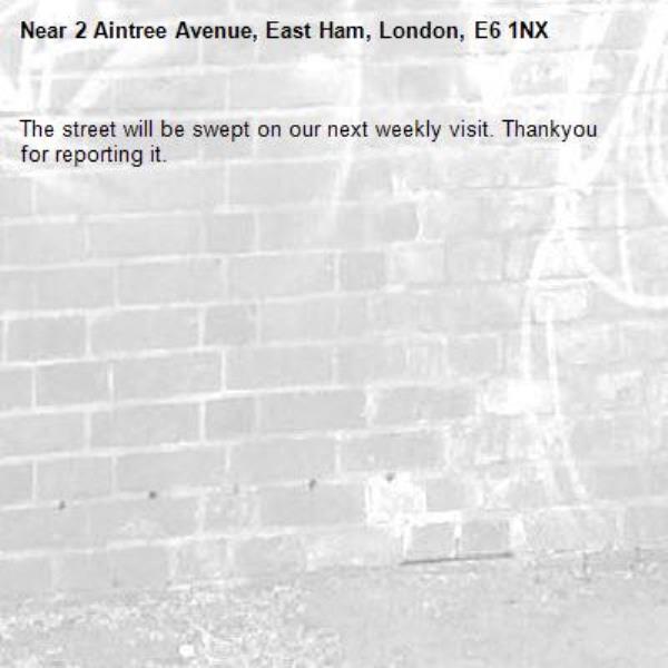 The street will be swept on our next weekly visit. Thankyou for reporting it.-2 Aintree Avenue, East Ham, London, E6 1NX