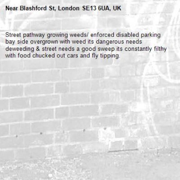 Street pathway growing weeds/ enforced disabled parking bay side overgrown with weed its dangerous needs deweeding &amp; street needs a good sweep its constantly filthy with food chucked out cars and fly tipping.-Blashford St, London SE13 6UA, UK