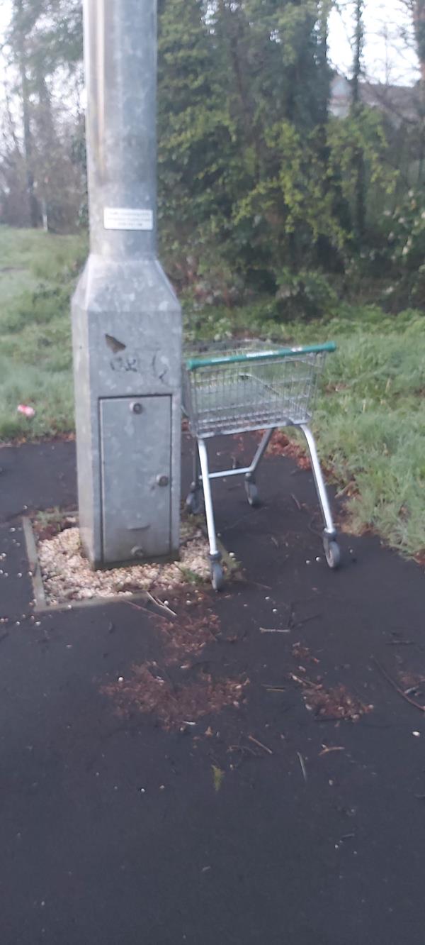 Abandoned Morrisons trolley next to traffic lights on Queen Victoria Court side of road.-Queen Elizabeth Park