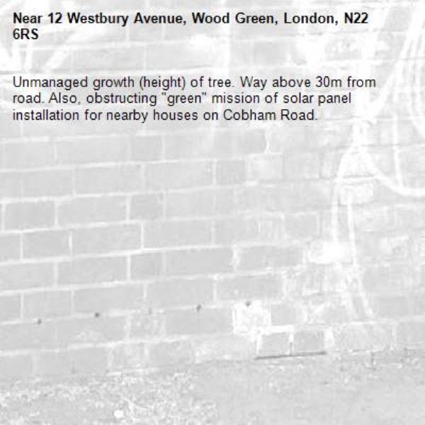 Unmanaged growth (height) of tree. Way above 30m from road. Also, obstructing "green" mission of solar panel installation for nearby houses on Cobham Road.-12 Westbury Avenue, Wood Green, London, N22 6RS