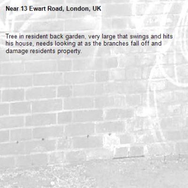 Tree in resident back garden, very large that swings and hits his house, needs looking at as the branches fall off and damage residents property.-13 Ewart Road, London, UK