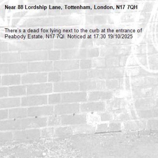 There’s a dead fox lying next to the curb at the entrance of Peabody Estate, N17 7Ql. Noticed at 17:30 19/10/2025-88 Lordship Lane, Tottenham, London, N17 7QH