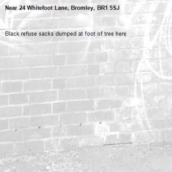 Black refuse sacks dumped at foot of tree here-24 Whitefoot Lane, Bromley, BR1 5SJ