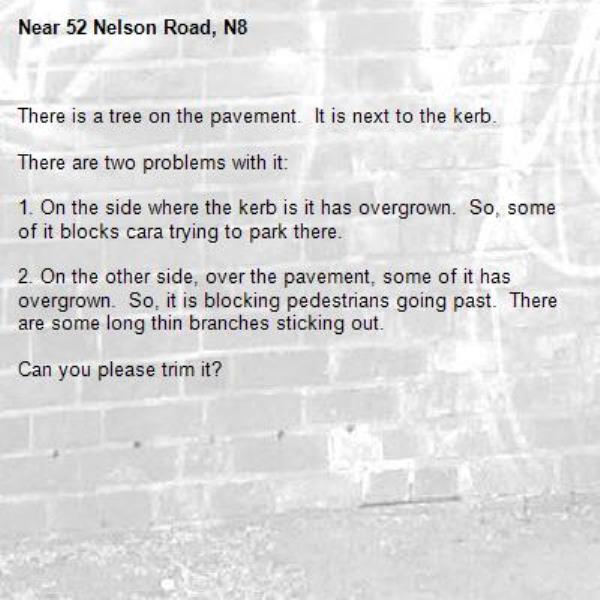 There is a tree on the pavement.  It is next to the kerb.

There are two problems with it:

1. On the side where the kerb is it has overgrown.  So, some of it blocks cara trying to park there.

2. On the other side, over the pavement, some of it has overgrown.  So, it is blocking pedestrians going past.  There are some long thin branches sticking out.

Can you please trim it?
-52 Nelson Road, N8