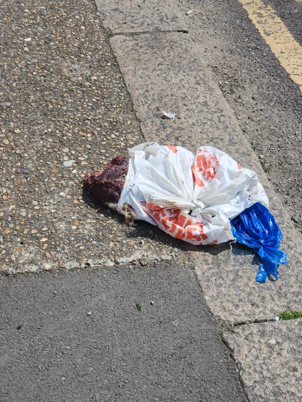 Dead animal in a bag-55 Whyteville Road, Forest Gate, London, E7 9LS