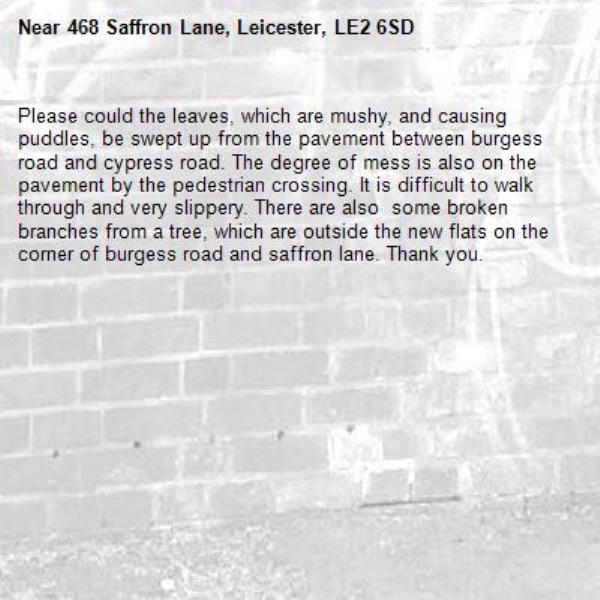 Please could the leaves, which are mushy, and causing puddles, be swept up from the pavement between burgess road and cypress road. The degree of mess is also on the pavement by the pedestrian crossing. It is difficult to walk through and very slippery. There are also  some broken branches from a tree, which are outside the new flats on the corner of burgess road and saffron lane. Thank you.-468 Saffron Lane, Leicester, LE2 6SD