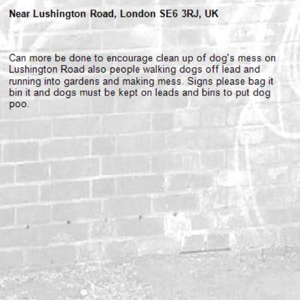 Can more be done to encourage clean up of dog&#39;s mess on Lushington Road also people walking dogs off lead and running into gardens and making mess. Signs please bag it bin it and dogs must be kept on leads and bins to put dog poo. -Lushington Road, London SE6 3RJ, UK