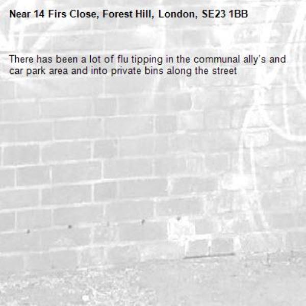 There has been a lot of flu tipping in the communal ally’s and car park area and into private bins along the street-14 Firs Close, Forest Hill, London, SE23 1BB