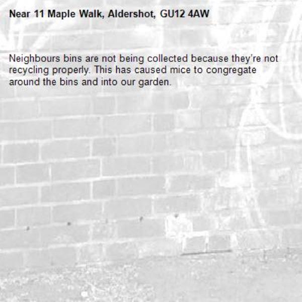 Neighbours bins are not being collected because they’re not recycling properly. This has caused mice to congregate around the bins and into our garden.-11 Maple Walk, Aldershot, GU12 4AW