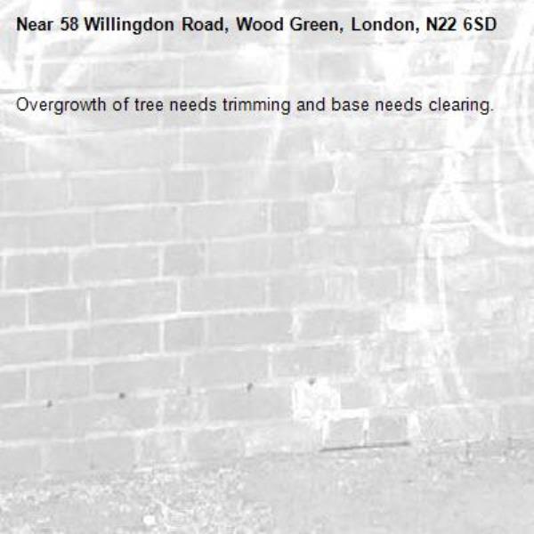 Overgrowth of tree needs trimming and base needs clearing.-58 Willingdon Road, Wood Green, London, N22 6SD