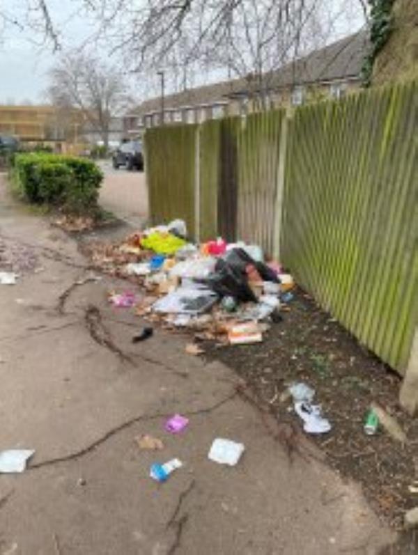 Please clear household waste from by fence adjacent to Green
-64 Dillwyn Close, Sydenham, SE26 4DE, England, United Kingdom