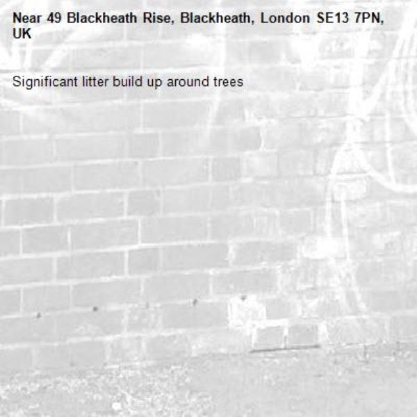 Significant litter build up around trees -49 Blackheath Rise, Blackheath, London SE13 7PN, UK