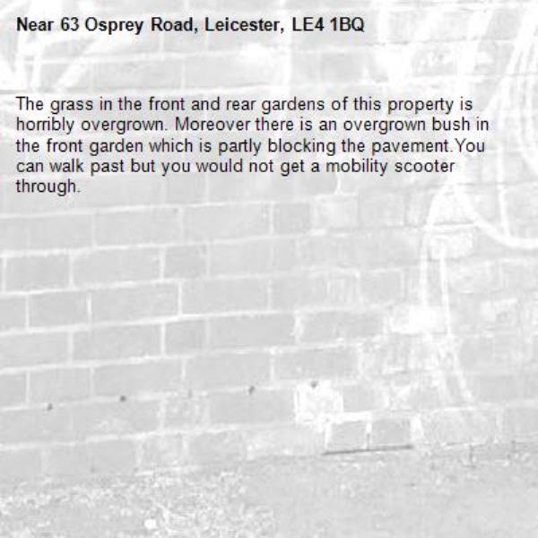 The grass in the front and rear gardens of this property is horribly overgrown. Moreover there is an overgrown bush in the front garden which is partly blocking the pavement.You can walk past but you would not get a mobility scooter through.-63 Osprey Road, Leicester, LE4 1BQ