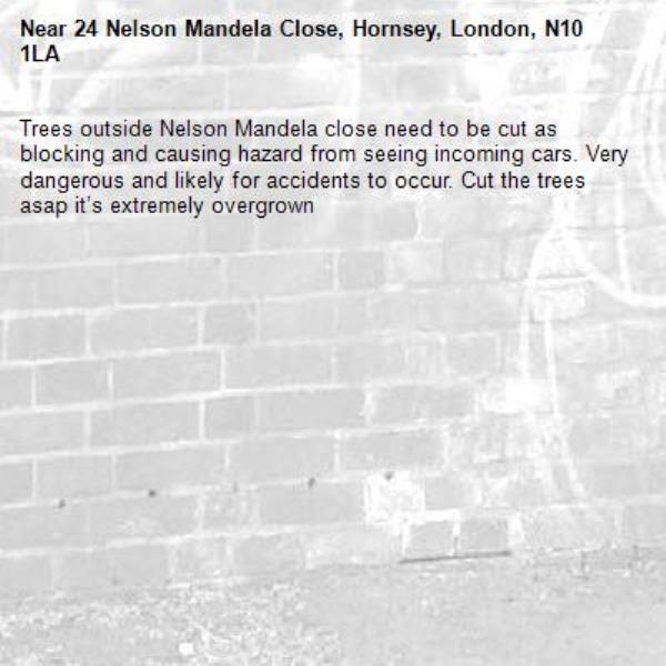 Trees outside Nelson Mandela close need to be cut as blocking and causing hazard from seeing incoming cars. Very dangerous and likely for accidents to occur. Cut the trees asap it’s extremely overgrown -24 Nelson Mandela Close, Hornsey, London, N10 1LA