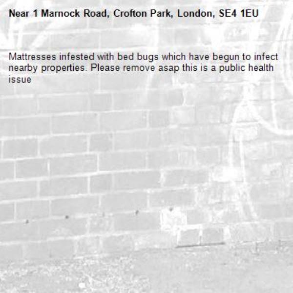 Mattresses infested with bed bugs which have begun to infect nearby properties. Please remove asap this is a public health issue-1 Marnock Road, Crofton Park, London, SE4 1EU