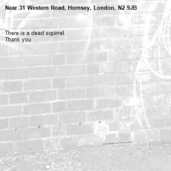 There is a dead squirrel.
Thank you -31 Western Road, Hornsey, London, N2 9JB
