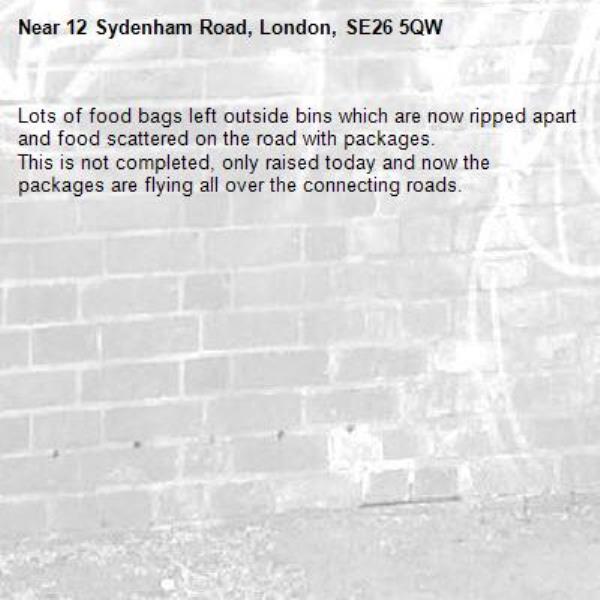 Lots of food bags left outside bins which are now ripped apart and food scattered on the road with packages.
This is not completed, only raised today and now the packages are flying all over the connecting roads. -12 Sydenham Road, London, SE26 5QW
