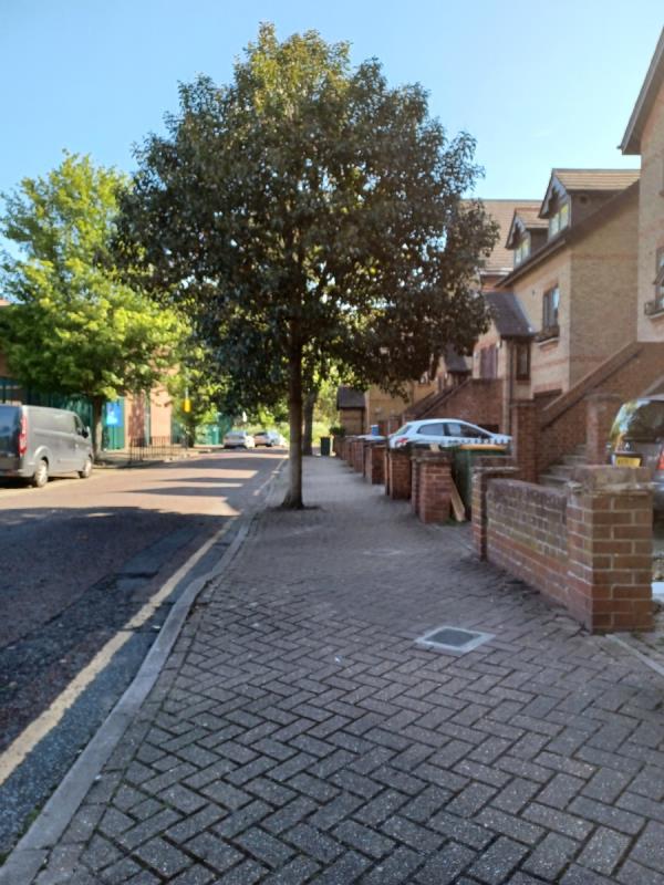 Can the council arrange for Gristwood&Tom's to cut back the tree  outside 29 Hallywell Crescent Beckton. Cars are swerving  around the  overhanging  branches. Danger to the residents. Thanks -44 Hallywell Crescent, Beckton, London, E6 5XP