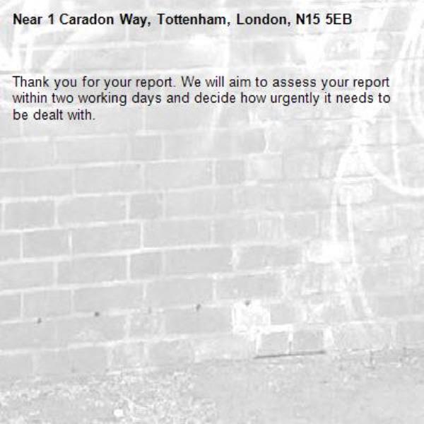Thank you for your report. We will aim to assess your report within two working days and decide how urgently it needs to be dealt with.-1 Caradon Way, Tottenham, London, N15 5EB