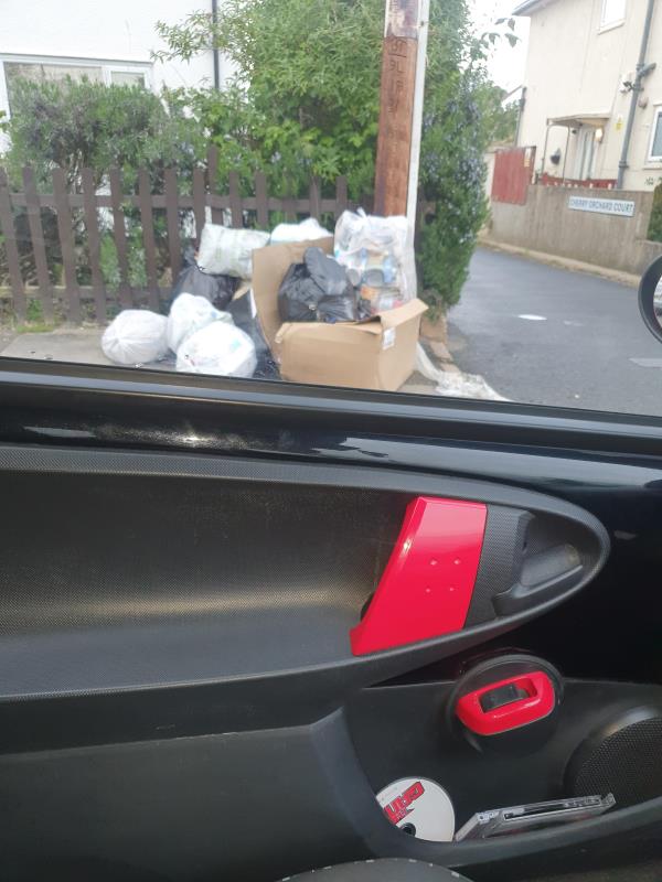 Hello, I have reported this matter a few times now and I really feel something needs to said to the people doing this. 
It seems to be the people living on Cherry orchard close that are dumping their waste at the top of whitteney drive south. 
On Tuesday when it is bin day they always bring their bins up to whitteney drive south and they are so overflowing that the bins men/women don't take all of it with them. 
This makes whitteney drive south look like a mess and we have more rubbish in the street, more dog fouling ( wotcha I'd always on my front may I add) 
This needs to be sorted ASAP. 
I can only upload 1 image but I have more. 
Many thanks, 
Jade McNulty -142 whitteney drive south 