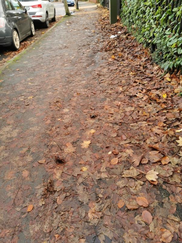 Leaf litter slippy on paths along Knighton Park Road and nearby streets is mulched and slippy-Stoneleigh, 24 Knighton Park Road, Castle, LE2 1ZA, England, United Kingdom