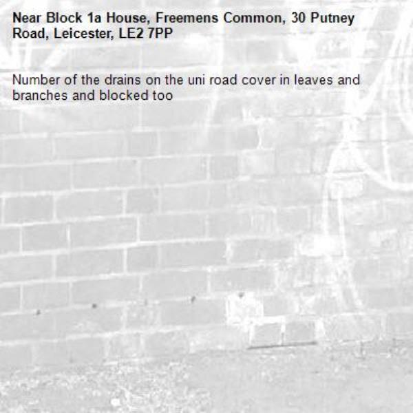 Number of the drains on the uni road cover in leaves and branches and blocked too -Block 1a House, Freemens Common, 30 Putney Road, Leicester, LE2 7PP
