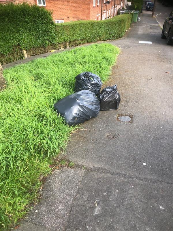Please clear black bags from pavement -134 Mayeswood Road, Grove Park, London, SE12 9RU