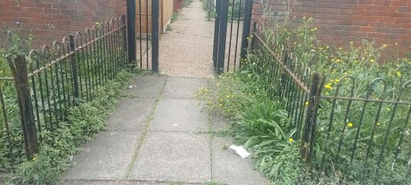 The weeds are taking over the pavement going into our block of flats iv reported it several times and it still hasn't been done -47 Sutton Road, Plaistow, London, E13 8EY