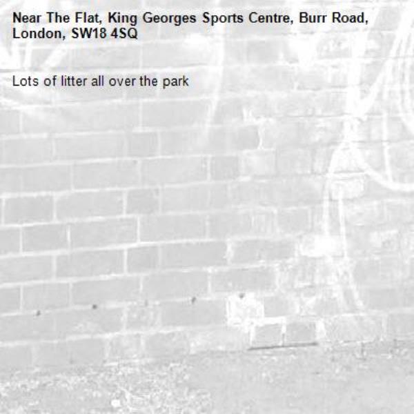 Lots of litter all over the park-The Flat, King Georges Sports Centre, Burr Road, London, SW18 4SQ