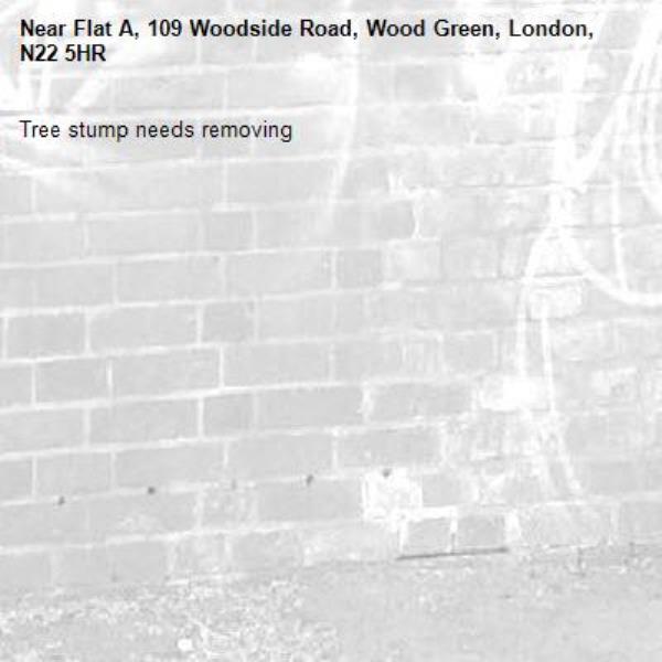 Tree stump needs removing -Flat A, 109 Woodside Road, Wood Green, London, N22 5HR