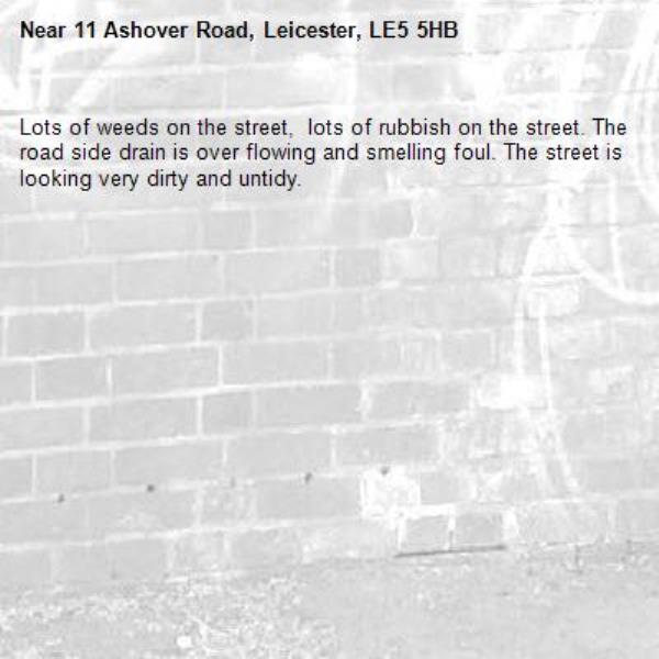 Lots of weeds on the street,  lots of rubbish on the street. The road side drain is over flowing and smelling foul. The street is looking very dirty and untidy.-11 Ashover Road, Leicester, LE5 5HB